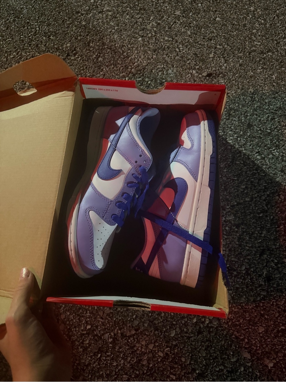 Nike dunk low blueberry 6Y 7.5W